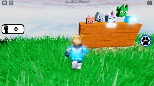 Roblox Studio - Pet Shop System смотреть онлайн