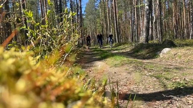 Веломаршруты в «Жемчужине»: лесные тропы, заброшенная финская ГЭС и другие достопримечательности. смотреть онлайн