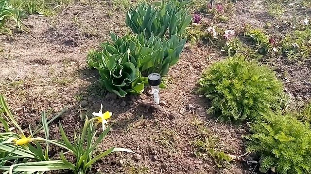 Семейный блог/ сельские будни смотреть онлайн