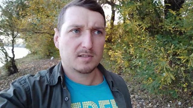 Грибник смотреть онлайн