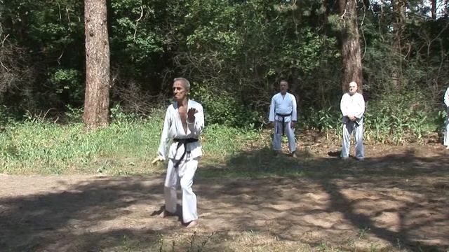 Сайфа. Вячеслав Соловьев. 39-й экзамен по каратэ. Харьков-2019 Karate смотреть онлайн