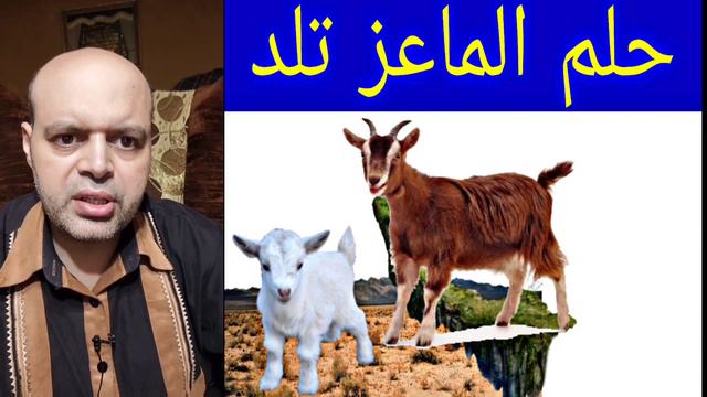 يعبر حلم ورؤية الماعز تلد في المنام عن الإنجاب والتكاثر | حلم رؤية الماعز تلد | تفسير الاحلام | محم смотреть онлайн