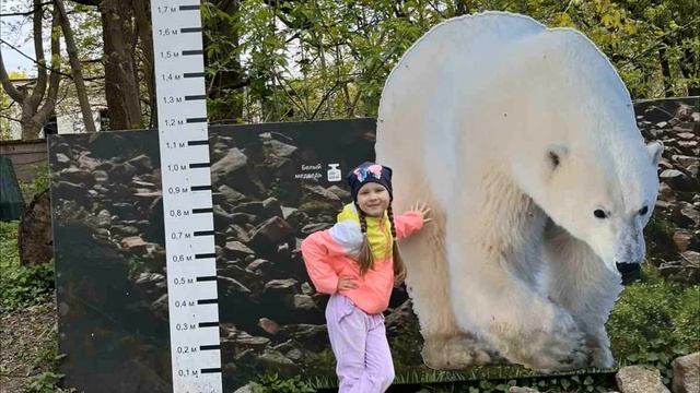 Всемирный день защиты животных в подготовительной группе смотреть онлайн