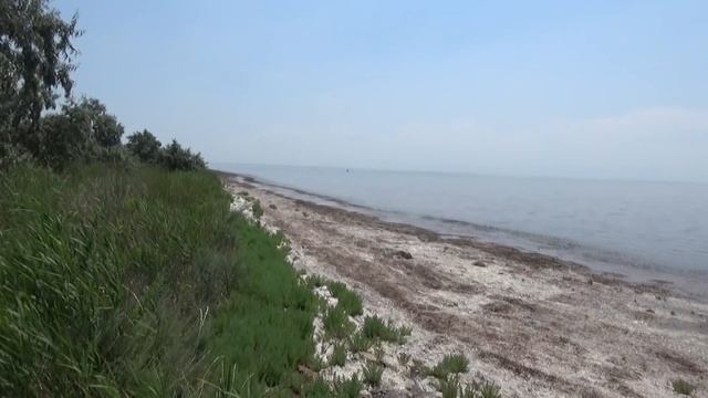 Скадовск 2020, дельфинарий работает, чуть не вырвали колесо, рыжуха пенсионного возраста, Шаповалов смотреть онлайн