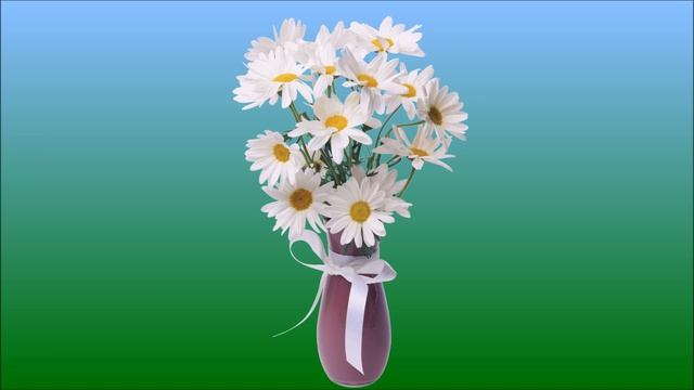 Ромашка - символ семьи, любви и верности смотреть онлайн