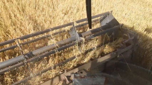 Палессе GS12 смотреть онлайн