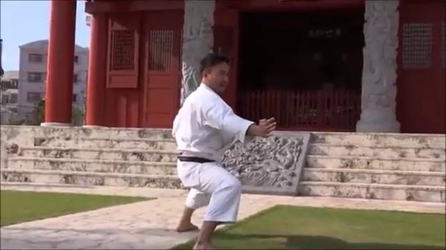 Seeking the origins osf Karate - Naka Tatsuya Sensei смотреть онлайн