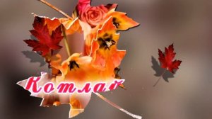 Тыуган кон! Р. Гиззатуллин йыры.