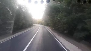 Дорога Самара-Казань. Бесовский лес. О чудо!!!)))