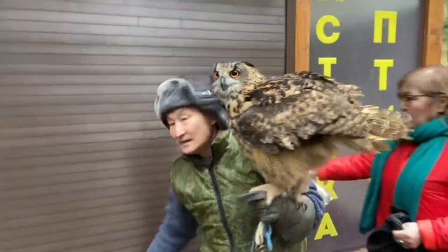 Отпуск в Калининградской области смотреть онлайн