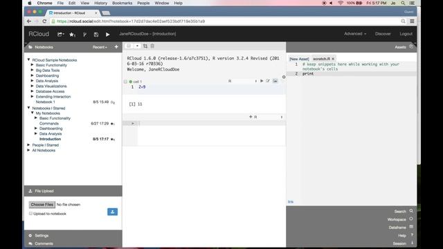 Introduction to the RCloud Integrated Development Environment (IDE) смотреть онлайн