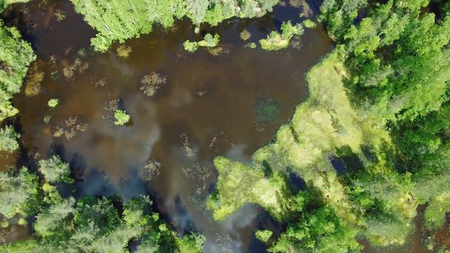 Hubsan Zino 2 Footage43 смотреть онлайн