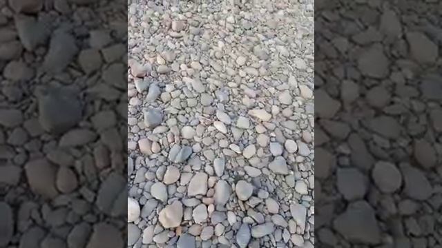 Челендж пройти босыми ногами по камням