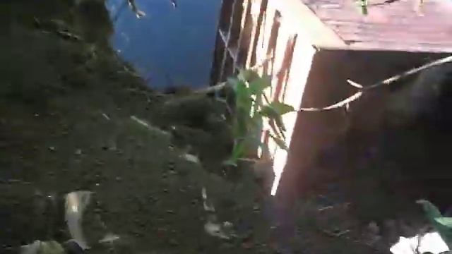 Обрушился дом смотреть онлайн