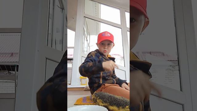 собираем семечки подсолнуха