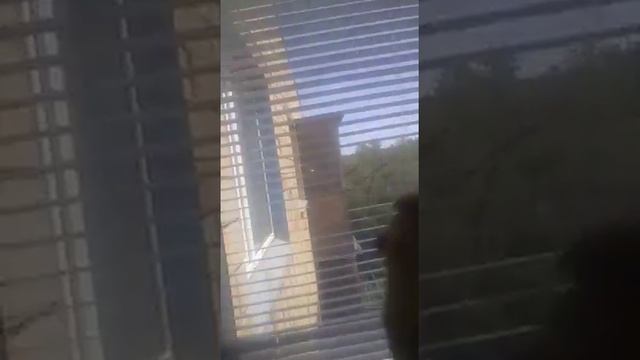 Горизонтальные жалюзи Караганда смотреть онлайн