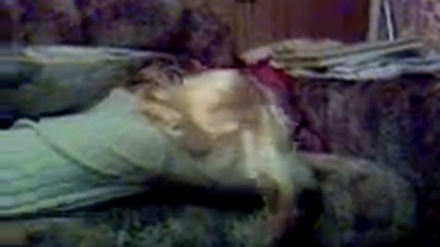 Мама, расскажи мне сказку! смотреть онлайн