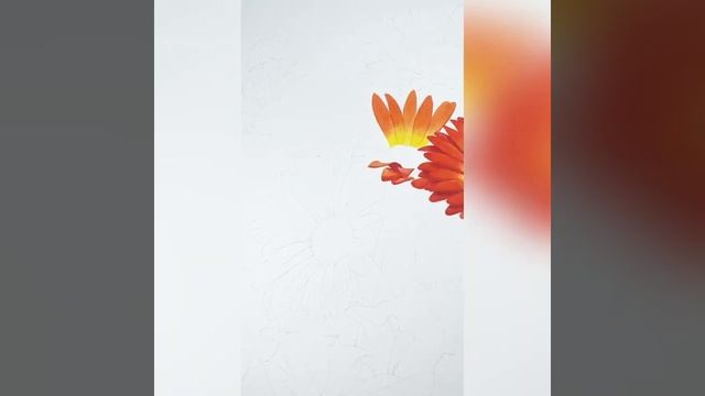 Gerbera flowers смотреть онлайн