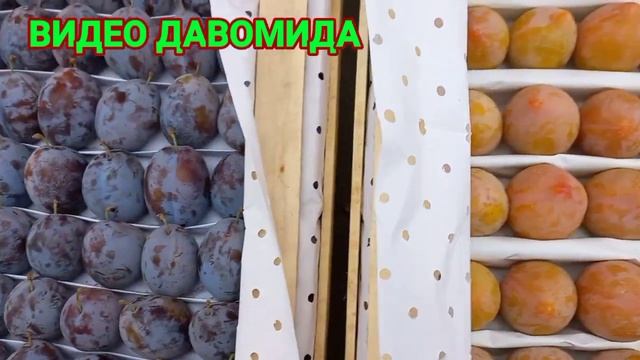 РИНОК Г СУРГУТ смотреть онлайн