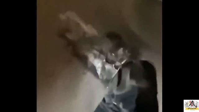 ПОДБОРКА ЖЕСТИ НА СТО #4 смотреть онлайн