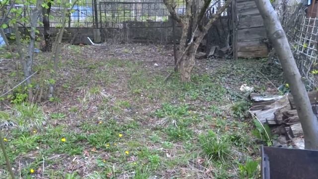 Дача у моря за 2, 2 млн, летний домик, участок 6 соток ровный. Цветёт персик смотреть онлайн