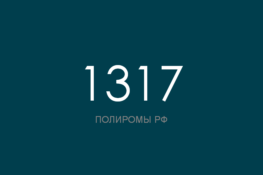 ПОЛИРОМ номер 1317 смотреть онлайн