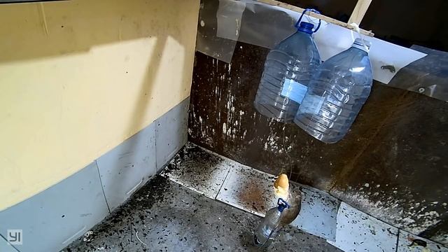 #42. Охота на КРЫС с комплексом "HWRAT-HUNTER" смотреть онлайн