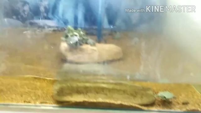 Обзор магазина H2O улан-удэ. смотреть онлайн