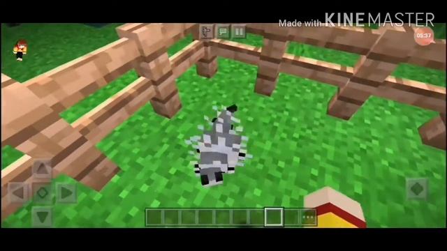 Топ 10 самых редких мобов в майнкрафт смотреть онлайн