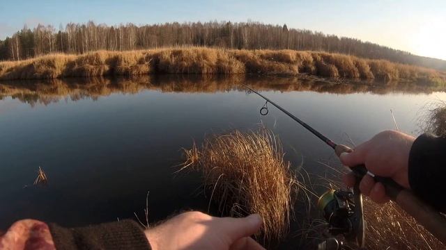 ✔РЫБАЛКА НА СПИННИНГ В ТВЕРСКОЙ ОБЛАСТИ. Закрытие сезона с друзьями по открытой воде.Рыбалка на щук смотреть онлайн