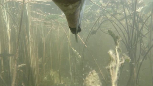 Подводная охота на границе с Казахстаном смотреть онлайн
