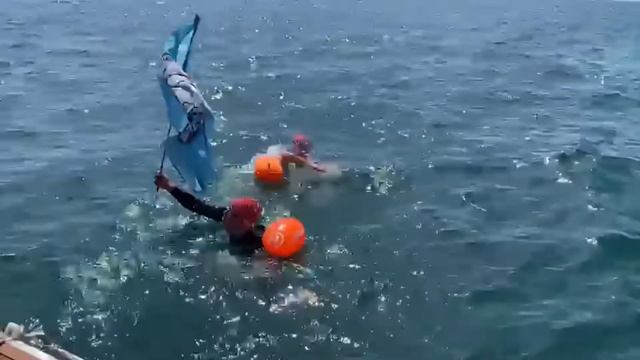 Прошел заплыв моржей через заповедник "Утриш" смотреть онлайн