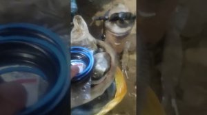 ремонт гидроцилиндра прицепа 2 ПТС-4 , вопрос зрителям