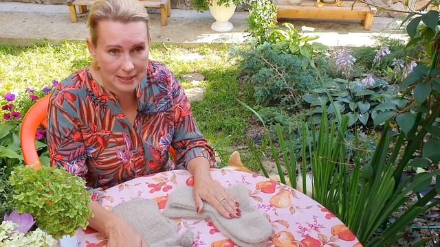 Сату очень удивлен. Что с его шерстью? Акита ину смотреть онлайн