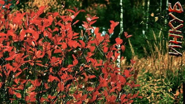 Страшные истории на ночь от Инкуба - Один смотреть онлайн