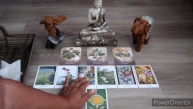 ? The clarity you seek is in this reading my Love ? Planet Kai Tarot смотреть онлайн