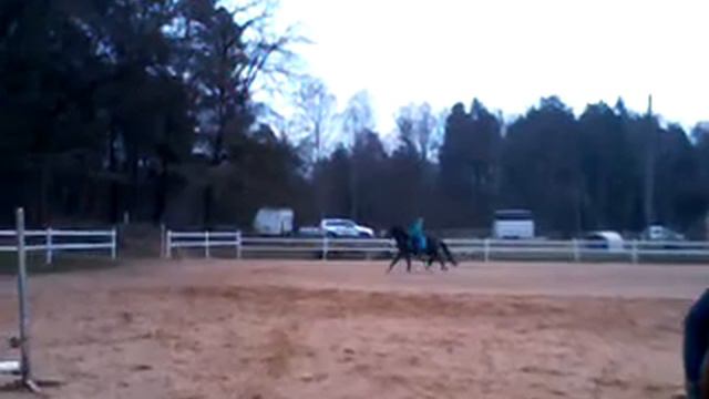 Reitschule Wiesental смотреть онлайн