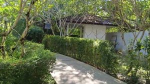 Территория отеля Nai Yang Beach Resort & SPA 4 Пхукет Таиланд.