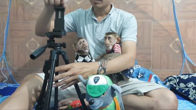 Smart Monkey Sam, Asher Loves Dad Eat Fruit And Drink Milk Before Bed