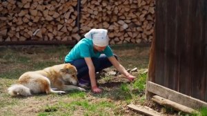 ЗРИТЕЛИ КУПИЛИ ДОМ ПО СОСЕДСТВУ _ ДЕРЕВНЯ НАШЕЙ МЕЧТЫ _ СНЕГ И КУРЫ