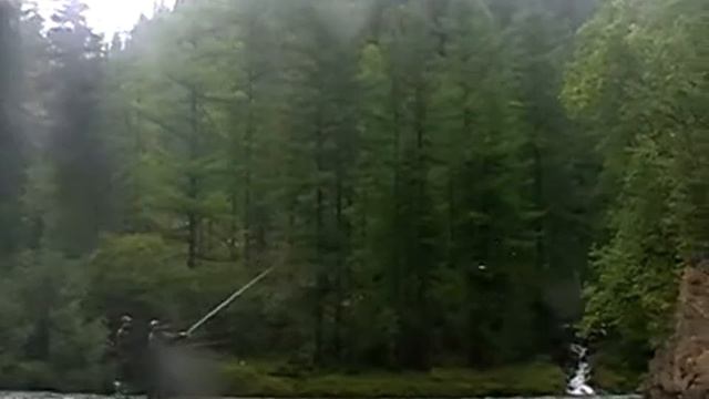 Хариус 54°28' С 95°32' В смотреть онлайн