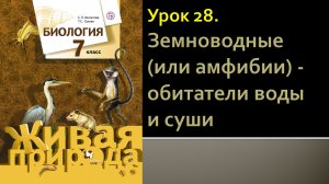 Урок 28. Земноводные (или амфибии) - обитатели воды и суши