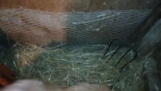 Моё маленькое хозяйство смотреть онлайн