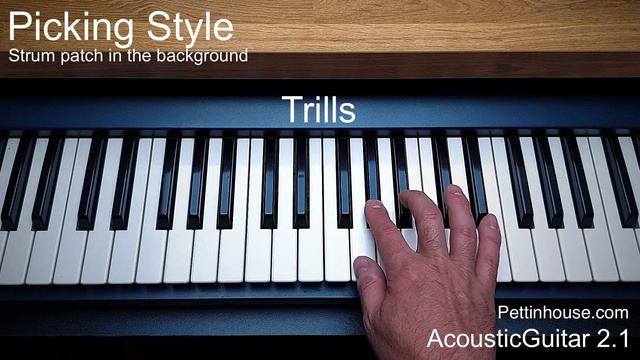 AcousticGuitar 2.1 Guitar Sample Library For Kontakt | New Update | Pettinhouse.com 2022
