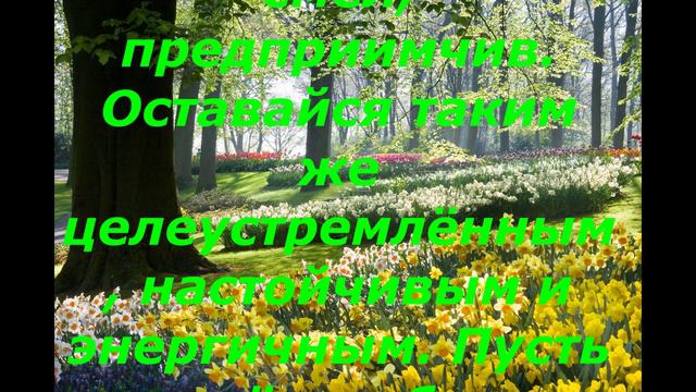Дмитрий TV. Видео Саша, Поздравляю Тебя С Днём Рождения! смотреть онлайн