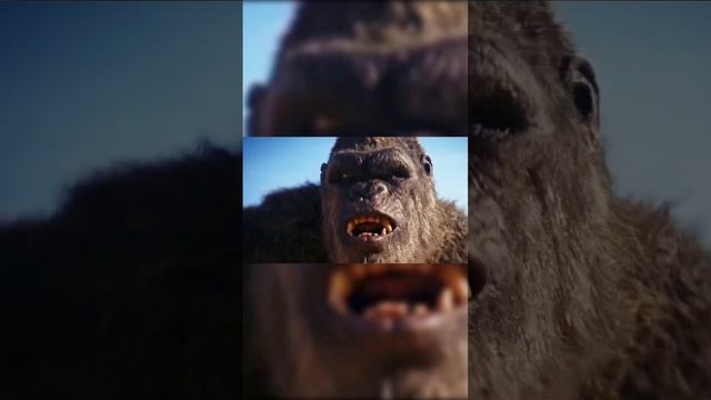 Why Godzilla attacked kong? Godzilla mistook kong for what sheemo did in Egypt? смотреть онлайн