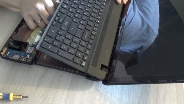 Разборка ноутбука Packard bell P5WS5 (easynote_ts11-sb-818ru) смотреть онлайн