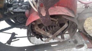 Муравей с зажиганием от бензопилы