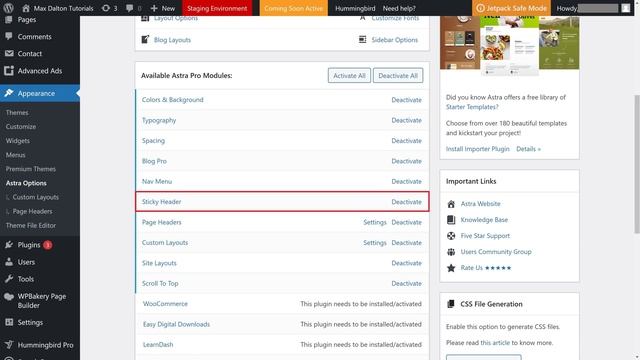 How to Get WordPress Sticky Header in Astra Theme смотреть онлайн