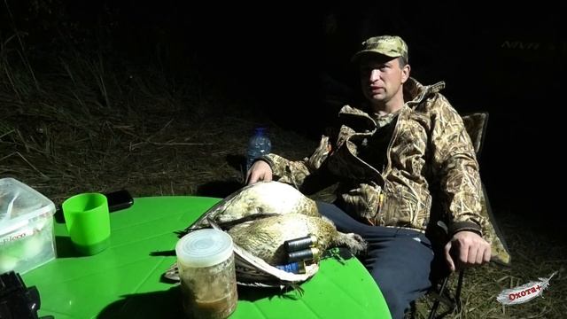 Охота на Северную утку в Сентябре. Рыбалка на сеть. Уток пострелял и рыбы наловил, Ружьё Импала+ смотреть онлайн